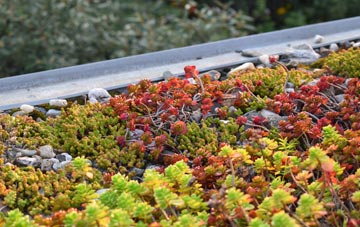 the cost of Old Oak Common green roof installation