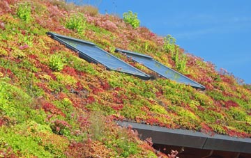 Old Oak Common living roof systems